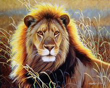 Afbeelding in Gallery-weergave laden, Schilderen op Nummer Leeuw in de savanne Figured&#39;Art gemiddeld nieuwkomers dieren leeuwen