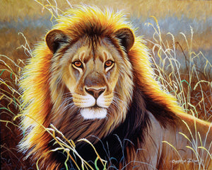 Schilderen op Nummer Leeuw in de savanne Figured'Art gemiddeld nieuwkomers dieren leeuwen