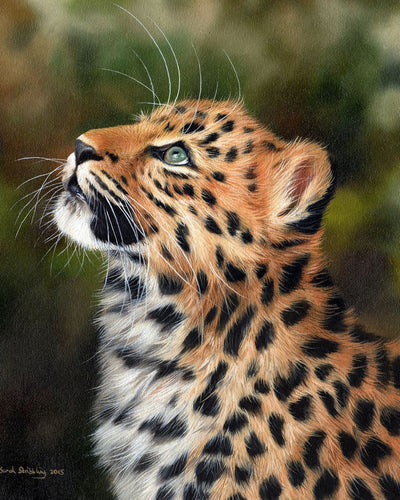 Schilderen op Nummer Nieuwsgierige luipaard Figured'Art gemiddeld nieuwkomers dieren luipaarden