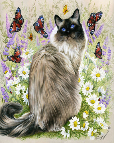 Schilderen op Nummer Ontdekking van vlinders Figured'Art gemiddeld nieuwkomers dieren katten vlinders bloemen