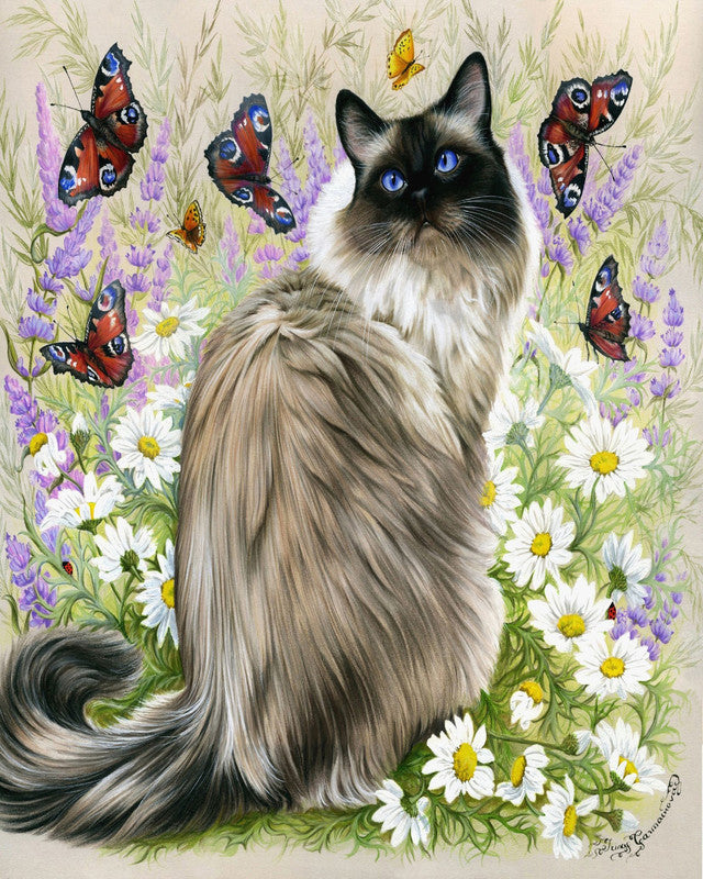 Schilderen op Nummer Ontdekking van vlinders Figured'Art gemiddeld nieuwkomers dieren katten vlinders bloemen