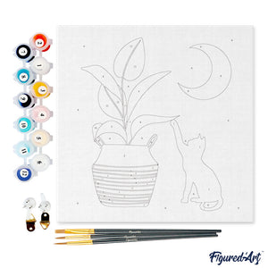 Mini Schilderen op Nummer met Frame - Kitten en planten in het maanlicht