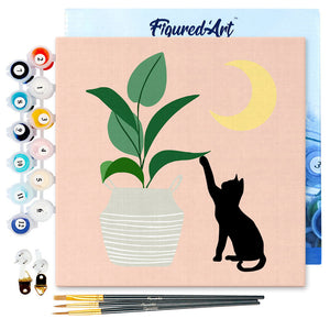 Mini Schilderen op Nummer met Frame - Kitten en planten in het maanlicht