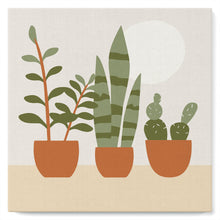Afbeelding in Gallery-weergave laden, Mini Peinture par Numéros petit format 20x20cm avec cadre Plantes grasses
