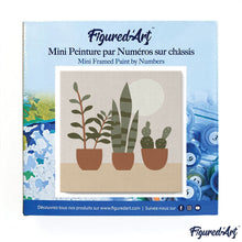Afbeelding in Gallery-weergave laden, Mini Schilderen op Nummer met Frame - Vetplanten