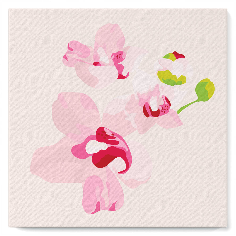 Mini Peinture par Numéros petit format 20x20cm avec cadre Fleurs d'Orchidée