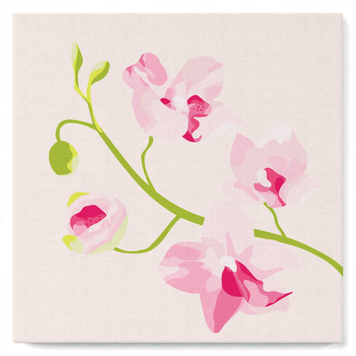 Mini Peinture par Numéros petit format 20x20cm avec cadre Branche d'Orchidée