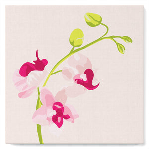 Mini Peinture par Numéros petit format 20x20cm avec cadre Branche d'Orchidée 2