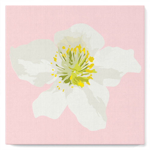 Mini Peinture par Numéros petit format 20x20cm avec cadre Fleur d'Eglantier