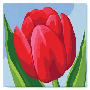 Mini Peinture par Numéros petit format 20x20cm avec cadre Tulipe Rouge
