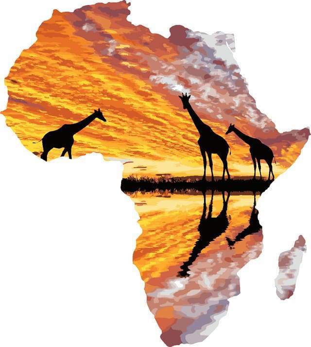 Schilderen op Nummer - Afrika en giraffen