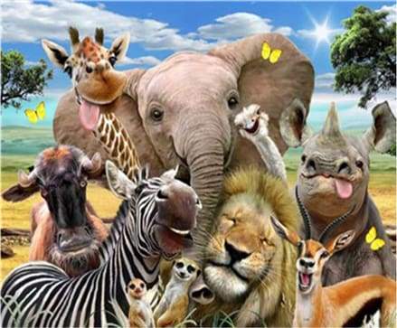 Schilderen op Nummer - Afrikaanse dieren