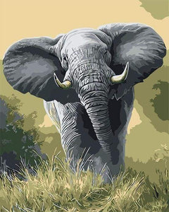 Schilderen op Nummer - Afrikaanse olifant