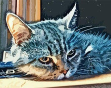 Afbeelding in Gallery-weergave laden, Schilderen op Nummer - Amerikaanse kortharige kat