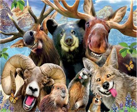 Schilderen op Nummer - Dieren