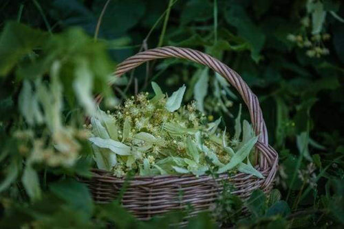 Schilderen op Nummer - Mand met bloemen