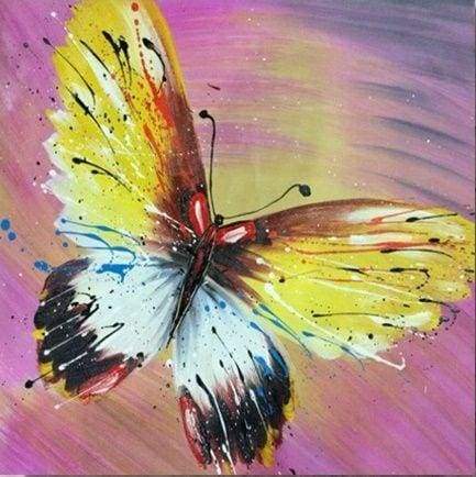 Schilderen op Nummer - Prachtige vlinder in kleuren