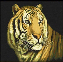 Afbeelding in Gallery-weergave laden, Schilderen op Nummer - Bengaalse tijger