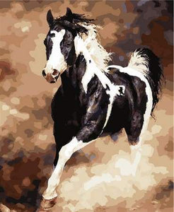 Schilderen op Nummer - Groot paard zwart-wit