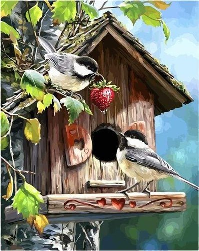 Schilderen op Nummer - Vogelhuis