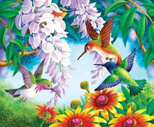 Afbeelding in Gallery-weergave laden, Schilderen op Nummer - Vogels en bloemen
