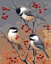 Afbeelding in Gallery-weergave laden, Schilderen op Nummer - Vogels en fruitboom