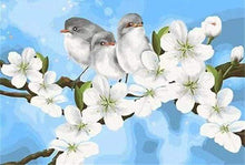 Afbeelding in Gallery-weergave laden, Schilderen op Nummer - Vogels en witte magnolia