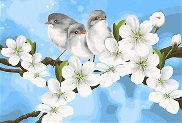 Schilderen op Nummer - Vogels en witte magnolia