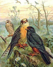 Afbeelding in Gallery-weergave laden, Schilderen op Nummer - Vogels in het bos