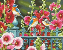 Afbeelding in Gallery-weergave laden, Schilderen op Nummer - Vogels op balustrades