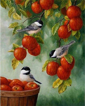 Afbeelding in Gallery-weergave laden, Schilderen op Nummer - Vogels op rode appels