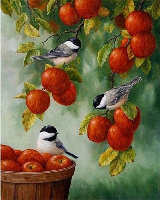 Schilderen op Nummer - Vogels op rode appels