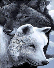 Afbeelding in Gallery-weergave laden, Schilderen op Nummer - Zwarte en witte wolven