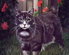 Afbeelding in Gallery-weergave laden, Schilderen op Nummer - Zwarte kat