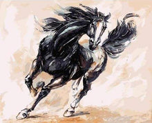 Afbeelding in Gallery-weergave laden, Schilderen op Nummer - Zwart paard