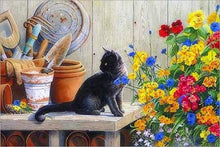 Afbeelding in Gallery-weergave laden, Schilderen op Nummer - Zwart katje in de tuin