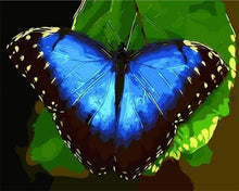 Afbeelding in Gallery-weergave laden, Schilderen op Nummer - Blauwe vlinder