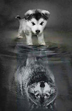 Afbeelding in Gallery-weergave laden, Diamond Painting - Hond en wolf reflectie 40x50cm reeds ingelijst