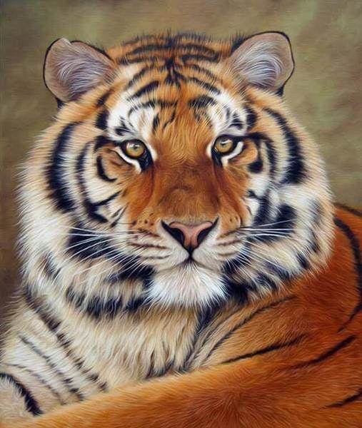 Diamond Painting - Oog tijger 40x50cm reeds ingelijst