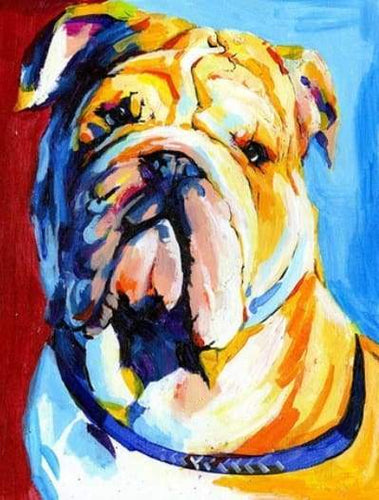 Schilderen op Nummer - Bulldog