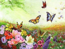 Afbeelding in Gallery-weergave laden, Schilderen op Nummer - Vlinders en bloemen