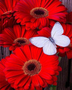 Schilderen op Nummer - Vlinder en rode bloemen