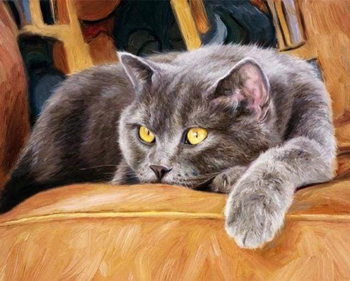 Schilderen op Nummer - Kat op de bank