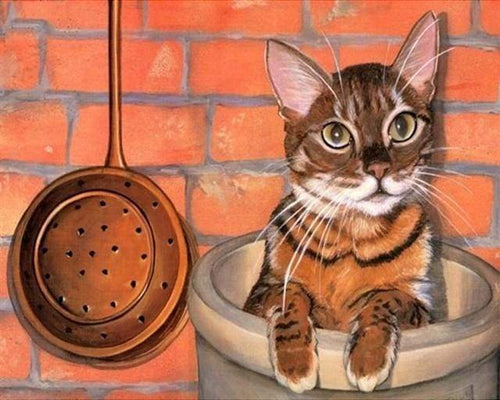 Schilderen op Nummer - Kat aan het spelen in de keuken