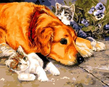 Afbeelding in Gallery-weergave laden, Schilderen op Nummer - Katten en Hond