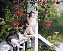 Afbeelding in Gallery-weergave laden, Schilderen op Nummer - Katten en kolibries