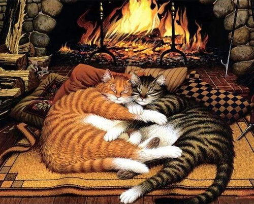 Schilderen op Nummer - Katten knuffelen