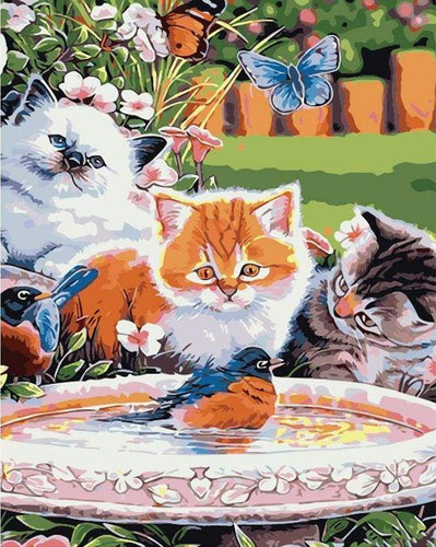 Schilderen op Nummer - Katten kijken naar een vogel