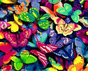 Schilderen op Nummer - Kleurrijke vlinders