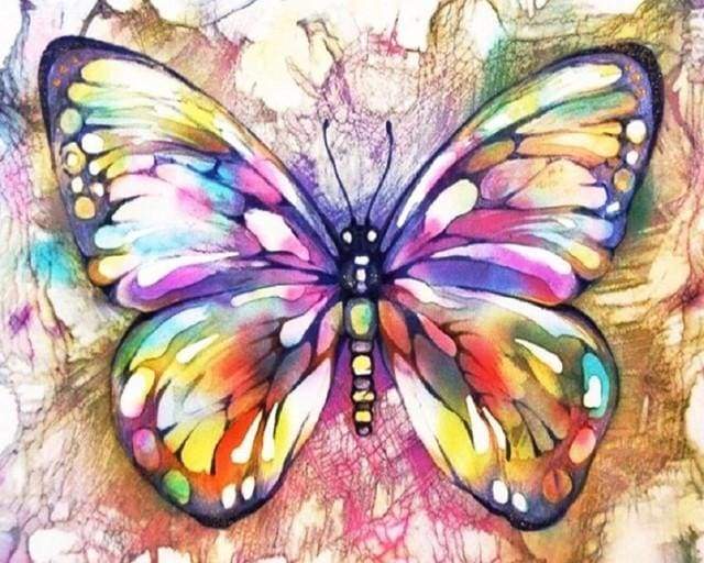 Schilderen op Nummer - Kleurrijke vlinder